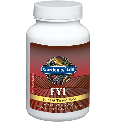 Garden of Life FYI Joint & Tissue Food, 90 Capsules